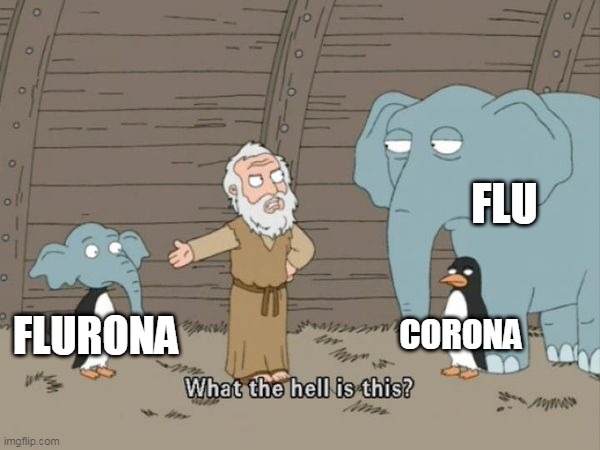Flurona | FLU; CORONA; FLURONA | image tagged in what the hell is this,flu,covid,corona,flurona | made w/ Imgflip meme maker