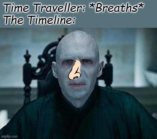Nosey | Time Traveller: *Breaths*
The Timeline: | image tagged in lord voldemort | made w/ Imgflip meme maker