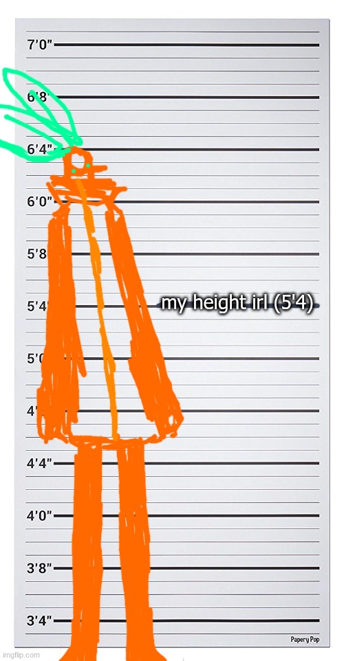 who made tangerine 6'4 :'''( | my height irl (5'4) | made w/ Imgflip meme maker
