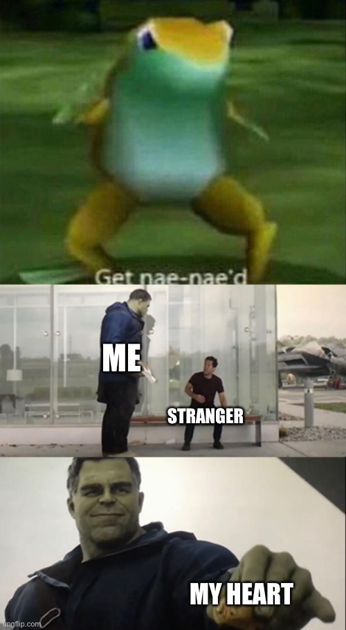 I just want a good day | ME; STRANGER; MY HEART | image tagged in get nae-nae'd,hulk taco | made w/ Imgflip meme maker