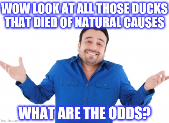 Oh well | WOW LOOK AT ALL THOSE DUCKS
THAT DIED OF NATURAL CAUSES WHAT ARE THE ODDS? | image tagged in oh well | made w/ Imgflip meme maker