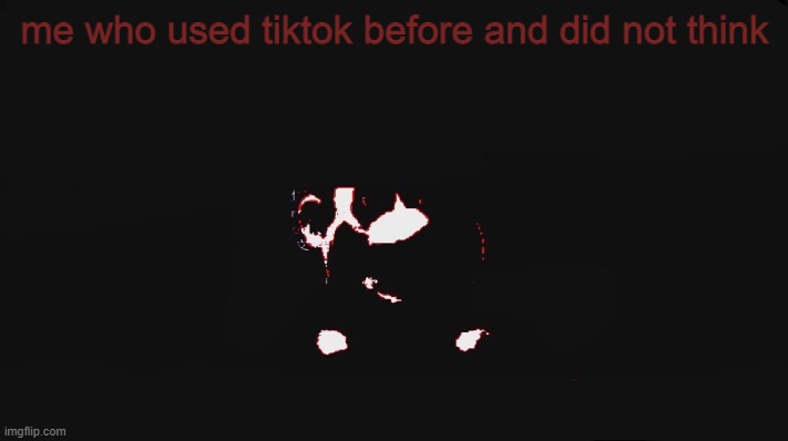 You are a thief | me who used tiktok before and did not think | image tagged in you are a thief | made w/ Imgflip meme maker