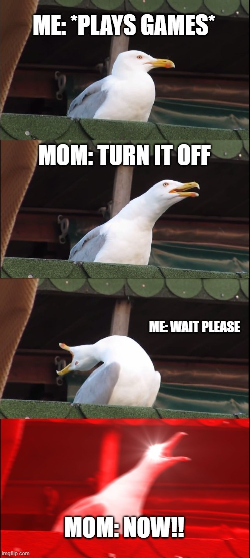 Inhaling Seagull | ME: *PLAYS GAMES*; MOM: TURN IT OFF; ME: WAIT PLEASE; MOM: NOW!! | image tagged in memes,inhaling seagull | made w/ Imgflip meme maker
