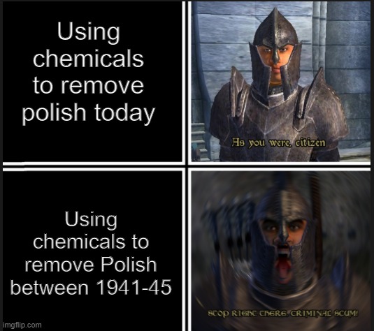 todays double standards smh | Using chemicals to remove polish today; Using chemicals to remove Polish between 1941-45 | image tagged in memes,skyrim,ww2,dark humor,double standards | made w/ Imgflip meme maker