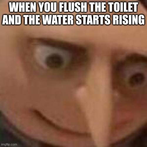Oh no | WHEN YOU FLUSH THE TOILET AND THE WATER STARTS RISING | image tagged in toilet | made w/ Imgflip meme maker