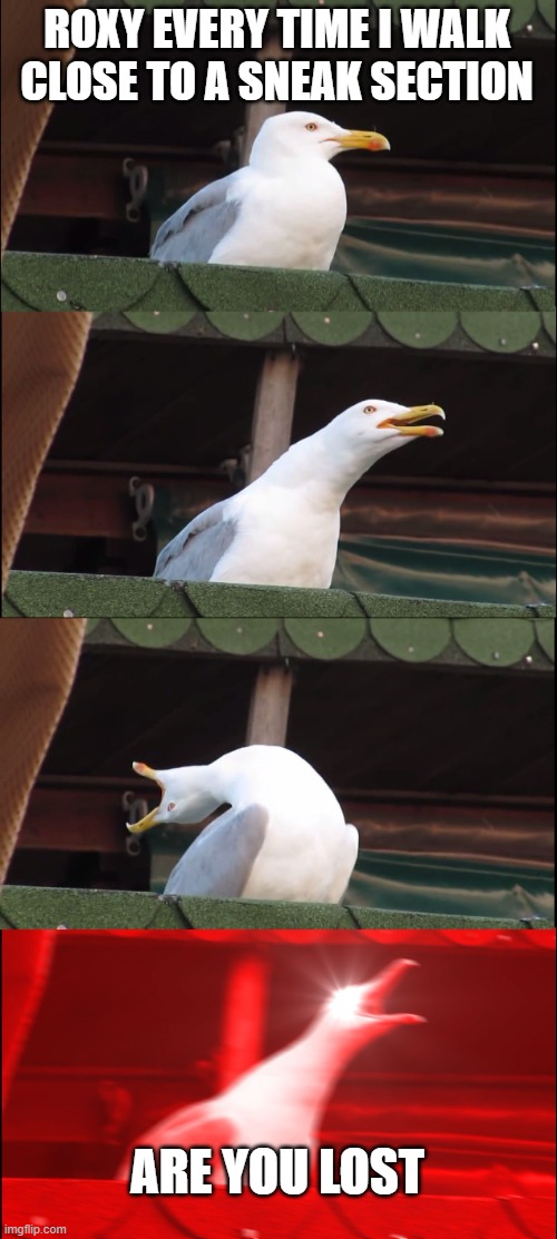 Roxy from Fnaf be like | ROXY EVERY TIME I WALK CLOSE TO A SNEAK SECTION; ARE YOU LOST | image tagged in memes,inhaling seagull | made w/ Imgflip meme maker