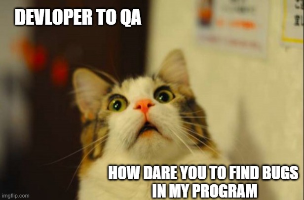 cat memes | DEVLOPER TO QA; HOW DARE YOU TO FIND BUGS 
IN MY PROGRAM | image tagged in cats,cat,programmers,programming,coding | made w/ Imgflip meme maker