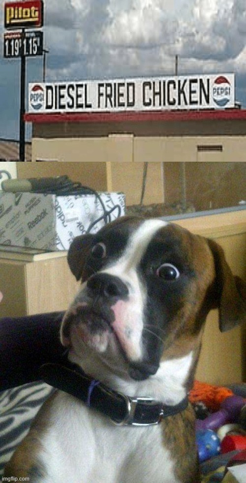 Im not eating there! | image tagged in blankie the shocked dog,sign fail | made w/ Imgflip meme maker