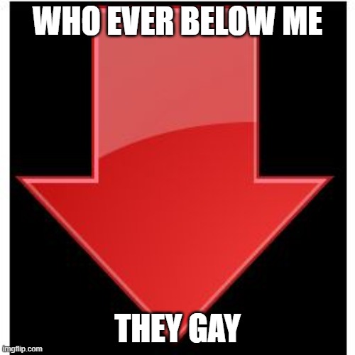 who is it | WHO EVER BELOW ME; THEY GAY | image tagged in downvotes | made w/ Imgflip meme maker