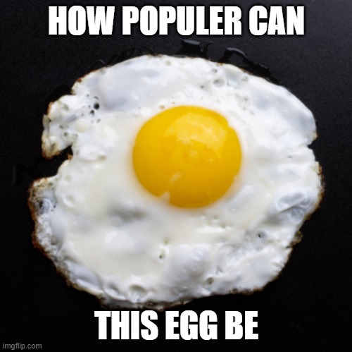 i wonder | HOW POPULER CAN; THIS EGG BE | image tagged in eggs | made w/ Imgflip meme maker