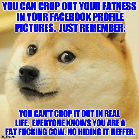 Doge Meme | YOU CAN CROP OUT YOUR FATNESS IN YOUR FACEBOOK PROFILE PICTURES.  JUST REMEMBER: YOU CAN'T CROP IT OUT IN REAL LIFE.  EVERYONE KNOWS YOU ARE | image tagged in memes,doge | made w/ Imgflip meme maker