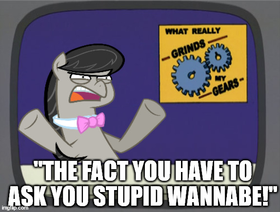 what really grinds my gears Octavia Melody | "THE FACT YOU HAVE TO ASK YOU STUPID WANNABE!" | image tagged in what really grinds my gears octavia melody | made w/ Imgflip meme maker