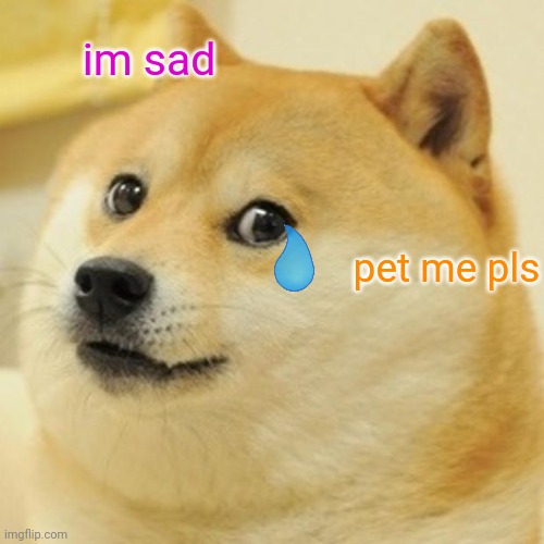 when dogecoin is worthless | im sad; pet me pls | image tagged in memes,doge | made w/ Imgflip meme maker