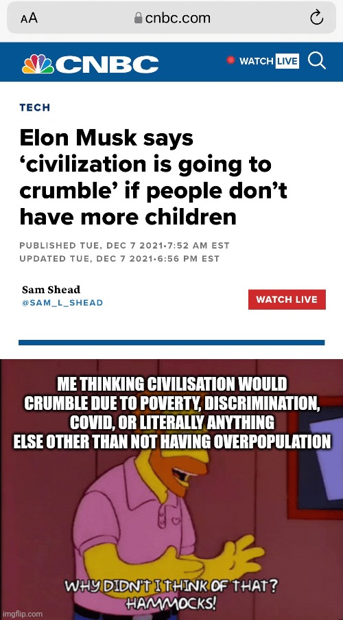 Elon Musk Big Brain | ME THINKING CIVILISATION WOULD CRUMBLE DUE TO POVERTY, DISCRIMINATION, COVID, OR LITERALLY ANYTHING ELSE OTHER THAN NOT HAVING OVERPOPULATION | image tagged in elon musk,my goodness what an idea why didn't i think of that | made w/ Imgflip meme maker