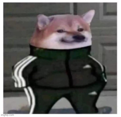 kurwa ten | image tagged in kurwa ten | made w/ Imgflip meme maker