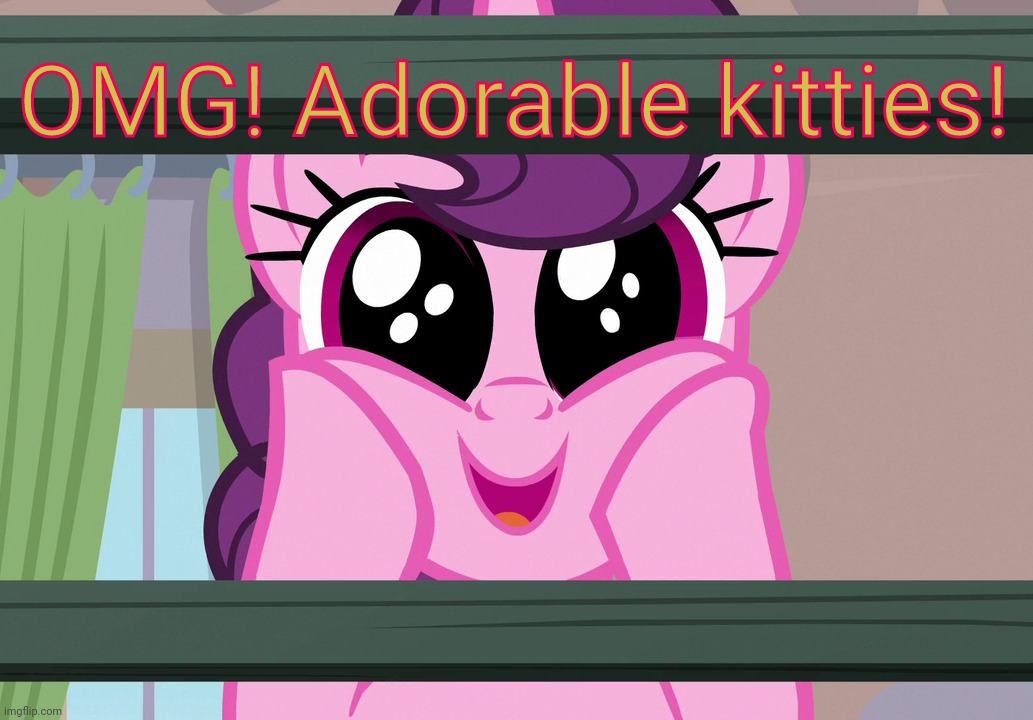 Surprised Sugar Belle (MLP) | OMG! Adorable kitties! | image tagged in surprised sugar belle mlp | made w/ Imgflip meme maker