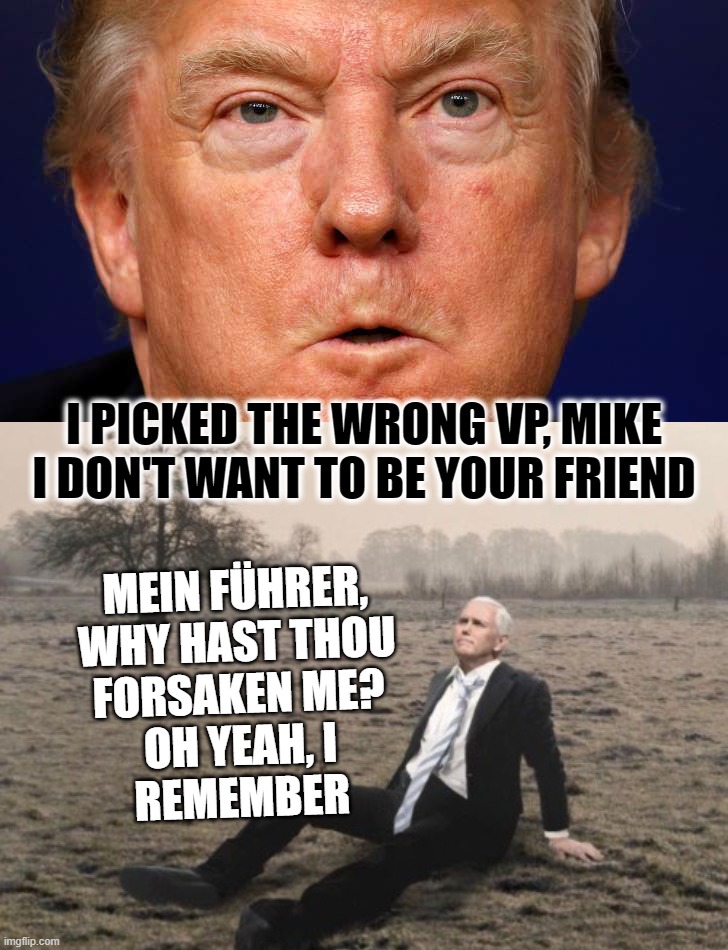 Mein Führer | I PICKED THE WRONG VP, MIKE
I DON'T WANT TO BE YOUR FRIEND; MEIN FÜHRER,
WHY HAST THOU
FORSAKEN ME?
OH YEAH, I
REMEMBER | image tagged in trump pence,forsaken,wrong vp | made w/ Imgflip meme maker