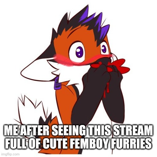 *bi panic* | ME AFTER SEEING THIS STREAM FULL OF CUTE FEMBOY FURRIES | image tagged in furry nosebleed,lol so funny | made w/ Imgflip meme maker