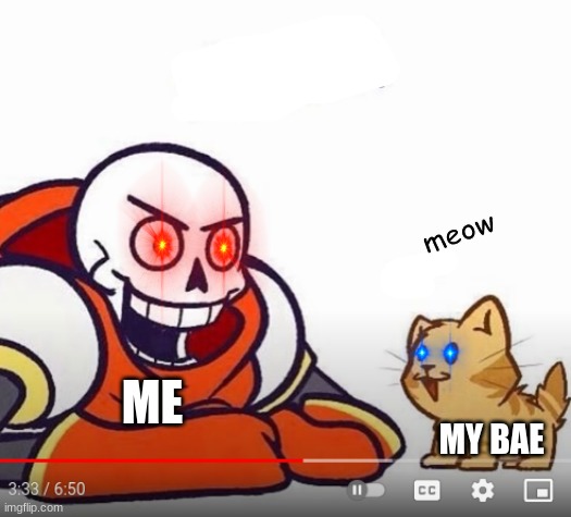 New temp!! | meow; ME; MY BAE | image tagged in isan's papyrus and cat temp | made w/ Imgflip meme maker