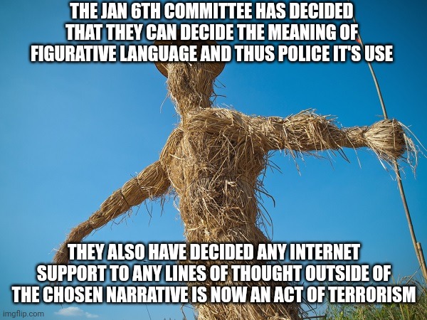 You must lose freedom to protect democracy |  THE JAN 6TH COMMITTEE HAS DECIDED THAT THEY CAN DECIDE THE MEANING OF FIGURATIVE LANGUAGE AND THUS POLICE IT'S USE; THEY ALSO HAVE DECIDED ANY INTERNET SUPPORT TO ANY LINES OF THOUGHT OUTSIDE OF THE CHOSEN NARRATIVE IS NOW AN ACT OF TERRORISM | image tagged in freedom,democracy,tyranny,fascism | made w/ Imgflip meme maker