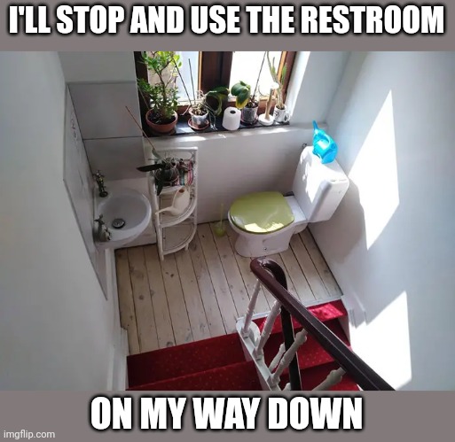 WHY THOUGH? | I'LL STOP AND USE THE RESTROOM; ON MY WAY DOWN | image tagged in toilet,bathroom,stairs,wtf | made w/ Imgflip meme maker