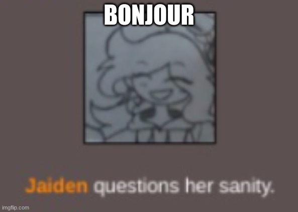 Jaiden questions her sanity | BONJOUR | image tagged in jaiden questions her sanity | made w/ Imgflip meme maker