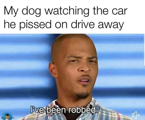 Doggo | image tagged in dogs | made w/ Imgflip meme maker