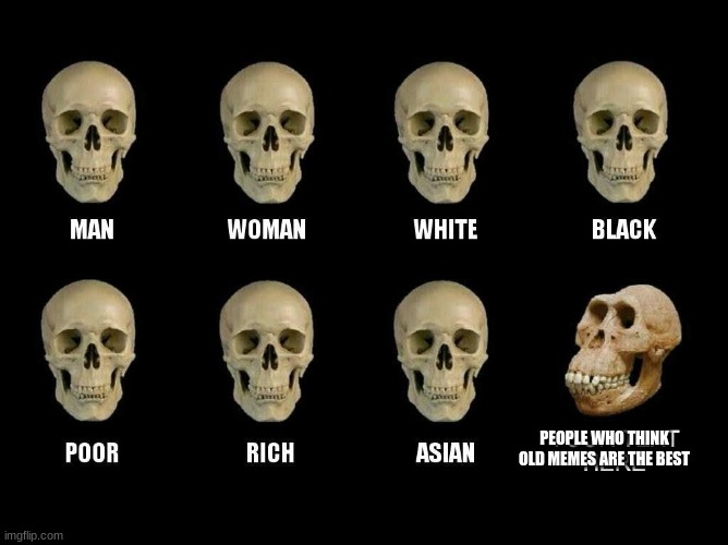 skulls | PEOPLE WHO THINK OLD MEMES ARE THE BEST | image tagged in skulls | made w/ Imgflip meme maker