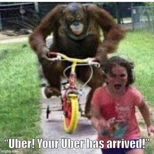ape on bike | “Uber! Your Uber has arrived!” | image tagged in ape on bike | made w/ Imgflip meme maker