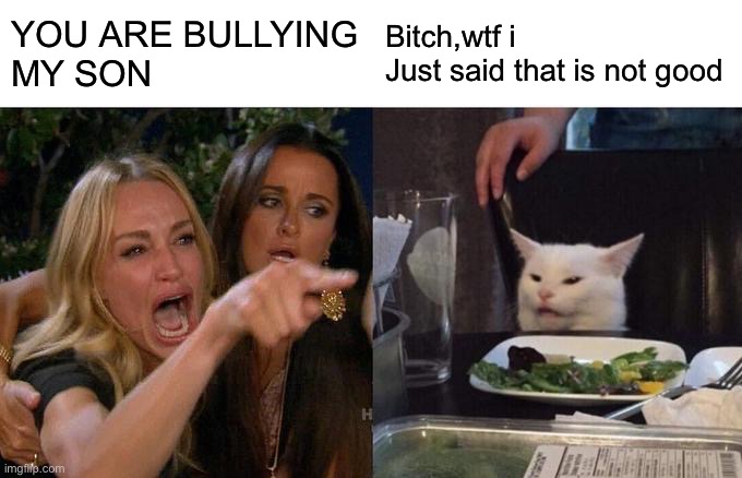 Funny meme | YOU ARE BULLYING
MY SON; Bitch,wtf i 
Just said that is not good | image tagged in memes,woman yelling at cat | made w/ Imgflip meme maker