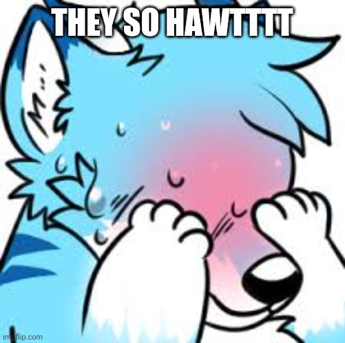 Blushing Furry (Embarrassed) | THEY SO HAWTTTT | image tagged in blushing furry embarrassed | made w/ Imgflip meme maker