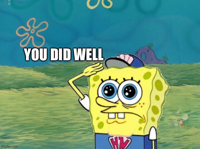 Spongebob salute | YOU DID WELL | image tagged in spongebob salute | made w/ Imgflip meme maker
