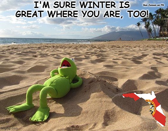 Winter Wonderland | I'M SURE WINTER IS GREAT WHERE YOU ARE, TOO! Ron Jensen on FB | image tagged in kermit on beach,beach,day at the beach,winter,winter is here | made w/ Imgflip meme maker