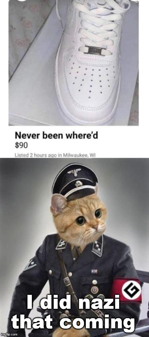 I am not that great at spelling but wow. | I did nazi that coming | image tagged in grammar nazi cat,you had one job | made w/ Imgflip meme maker
