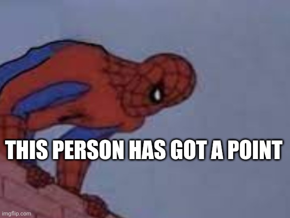 THIS PERSON HAS GOT A POINT | made w/ Imgflip meme maker