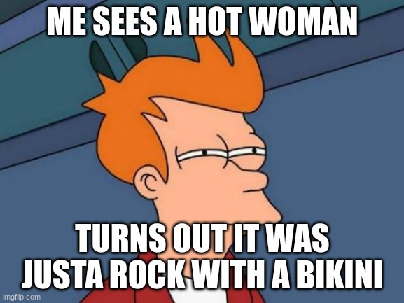 Futurama Fry | ME SEES A HOT WOMAN; TURNS OUT IT WAS JUSTA ROCK WITH A BIKINI | image tagged in memes,futurama fry | made w/ Imgflip meme maker