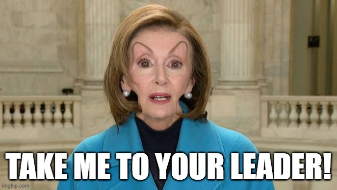 Invader Nance | TAKE ME TO YOUR LEADER! | image tagged in nancy pelosi,memes | made w/ Imgflip meme maker