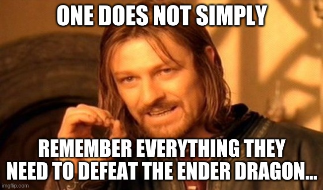 For example, slow falling potions... | ONE DOES NOT SIMPLY; REMEMBER EVERYTHING THEY NEED TO DEFEAT THE ENDER DRAGON... | image tagged in memes,one does not simply,minecraft,enderdragon | made w/ Imgflip meme maker