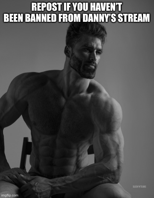 I wanna see who hasn’t | REPOST IF YOU HAVEN’T BEEN BANNED FROM DANNY’S STREAM | image tagged in giga chad | made w/ Imgflip meme maker