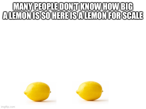 Blank White Template | MANY PEOPLE DON’T KNOW HOW BIG A LEMON IS SO HERE IS A LEMON FOR SCALE | image tagged in blank white template | made w/ Imgflip meme maker