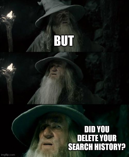 Confused Gandalf Meme | BUT DID YOU DELETE YOUR SEARCH HISTORY? | image tagged in memes,confused gandalf | made w/ Imgflip meme maker