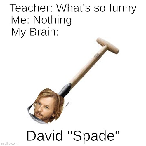 Spade | Teacher: What's so funny
Me: Nothing                    
My Brain:; David "Spade" | image tagged in funny,funny memes,memes,blank transparent square,david spade | made w/ Imgflip meme maker
