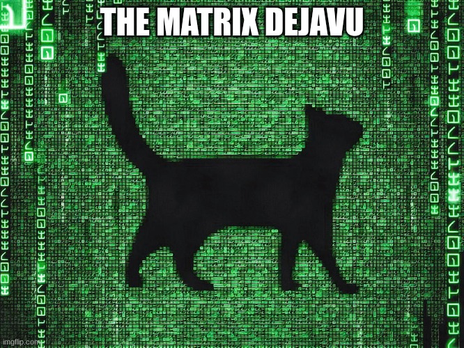 THE MATRIX DEJAVU | made w/ Imgflip meme maker