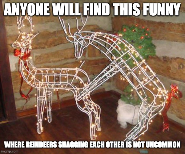 Reindeer Christmas Lights | ANYONE WILL FIND THIS FUNNY; WHERE REINDEERS SHAGGING EACH OTHER IS NOT UNCOMMON | image tagged in christmas lights,memes,christmas | made w/ Imgflip meme maker