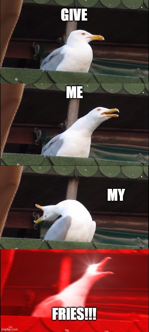 Inhaling Seagull Meme | GIVE; ME; MY; FRIES!!! | image tagged in memes,inhaling seagull | made w/ Imgflip meme maker