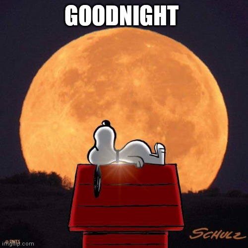 Goodnight | GOODNIGHT | image tagged in goodnight | made w/ Imgflip meme maker