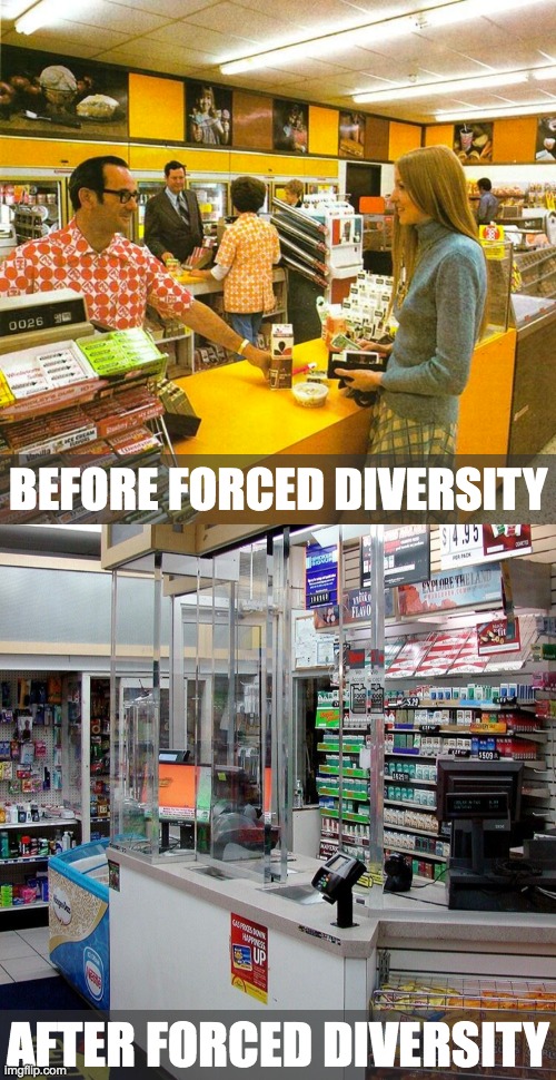BEFORE FORCED DIVERSITY; AFTER FORCED DIVERSITY | made w/ Imgflip meme maker