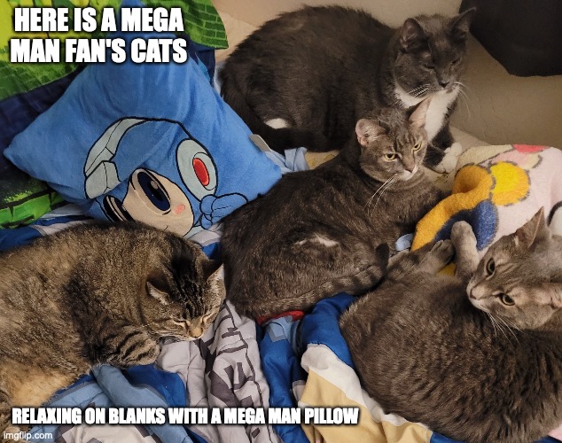 Typical Mega Man Fan's Cats | HERE IS A MEGA MAN FAN'S CATS; RELAXING ON BLANKS WITH A MEGA MAN PILLOW | image tagged in cats,megaman,memes | made w/ Imgflip meme maker
