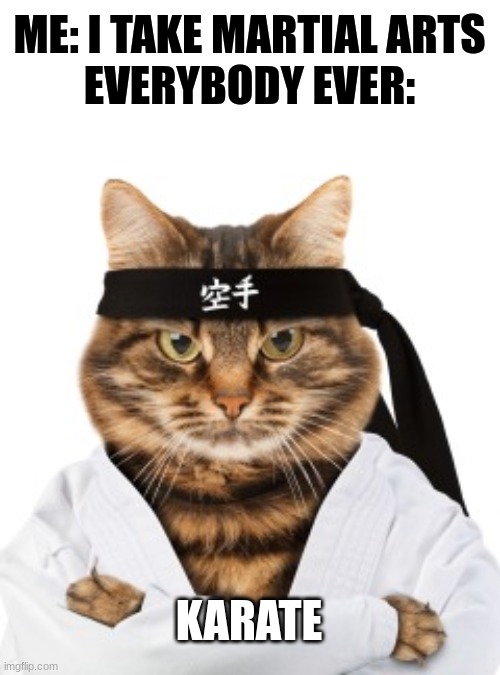 Karate cat | ME: I TAKE MARTIAL ARTS
EVERYBODY EVER:; KARATE | image tagged in karate cat,memes | made w/ Imgflip meme maker