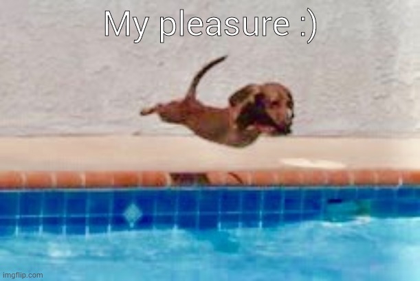 My Pleasure!! | My pleasure :) | image tagged in my pleasure | made w/ Imgflip meme maker